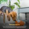 image:imageHuxley amp Kent Funny Dog Toy wSqueaker  Fall Power Plush Squeaky Dog Toys for Small Medium amp Large Dogs  Soft Stuffed Animal for Indoor Play amp Fetch  Puggin Spice Latte SmallPunkin Pie