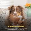 image:imageHuxley amp Kent Funny Dog Toy wSqueaker  Fall Power Plush Squeaky Dog Toys for Small Medium amp Large Dogs  Soft Stuffed Animal for Indoor Play amp Fetch  Puggin Spice Latte SmallTurkey Bowl
