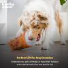 image:imageHuxley amp Kent Funny Dog Toy wSqueaker  Fall Power Plush Squeaky Dog Toys for Small Medium amp Large Dogs  Soft Stuffed Animal for Indoor Play amp Fetch  Puggin Spice Latte SmallPuggin Spice Latte