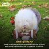 image:imageHuxley amp Kent Funny Dog Toy wSqueaker  Fall Power Plush Squeaky Dog Toys for Small Medium amp Large Dogs  Soft Stuffed Animal for Indoor Play amp Fetch  Puggin Spice Latte SmallFootball Bone