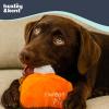 image:imageHuxley amp Kent Funny Dog Toy wSqueaker  Fall Power Plush Squeaky Dog Toys for Small Medium amp Large Dogs  Soft Stuffed Animal for Indoor Play amp Fetch  Puggin Spice Latte SmallPunkin Pie