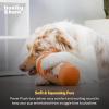 image:imageHuxley amp Kent Funny Dog Toy wSqueaker  Fall Power Plush Squeaky Dog Toys for Small Medium amp Large Dogs  Soft Stuffed Animal for Indoor Play amp Fetch  Puggin Spice Latte SmallPuggin Spice Latte