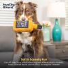 image:imageHuxley amp Kent Funny Dog Toy wSqueaker  Power Plush Squeaky Dog Toys for Small Medium amp Large Dogs  Soft Stuffed Animal for Indoor Play amp Fetch  Pups Blue Ribbon SmallSmall