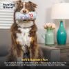 image:imageHuxley amp Kent Funny Dog Toy wSqueaker  Power Plush Squeaky Dog Toys for Small Medium amp Large Dogs  Soft Stuffed Animal for Indoor Play amp Fetch  Pups Blue Ribbon SmallLarge