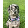 image:imageHuxley amp Kent Pet Bow Tie for Dogs amp Cats  4th of July Adjustable Hook amp Loop Collar Accessory  Cute amp Comfortable for Holidays amp Celebrations  Patriots for Peace ExtraLargeBoston Pops