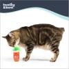 image:imageHuxley amp Kent Plush Cat Toy  Interactive Catnip Toy for Cats amp Kittens  Soft Kitty Toy with Crinkle amp Catnip  Fun Indoor Play Toy  Belly RubbinFluffy Mary