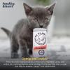 image:imageHuxley amp Kent Plush Cat Toy  Interactive Catnip Toy for Cats amp Kittens  Soft Kitty Toy with Crinkle amp Catnip  Fun Indoor Play Toy  Belly RubbinKitty Klaw Clawberry