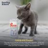 image:imageHuxley amp Kent Plush Cat Toy  Interactive Catnip Toy for Cats amp Kittens  Soft Kitty Toy with Crinkle amp Catnip  Fun Indoor Play Toy  Belly RubbinPurrs Light
