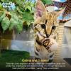 image:imageHuxley amp Kent Plush Cat Toy  Interactive Catnip Toy for Cats amp Kittens  Soft Kitty Toy with Crinkle amp Catnip  Fun Indoor Play Toy  Belly RubbinTotos Pawdka