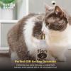 image:imageHuxley amp Kent Plush Cat Toy  Interactive Catnip Toy for Cats amp Kittens  Soft Kitty Toy with Crinkle amp Catnip  Fun Indoor Play Toy  Belly RubbinTotos Pawdka