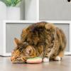 image:imageHuxley amp Kent Plush Cat Toy  Valentines Day Interactive Catnip Toy for Cats amp Kittens  Soft with Crinkle amp Catnip  Fun Indoor Play  First Lick Heart amp Be Mine Coffee 2pkLit Donut  Peppermint Candy
