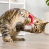 image:imageHuxley amp Kent Plush Cat Toy  Valentines Day Interactive Catnip Toy for Cats amp Kittens  Soft with Crinkle amp Catnip  Fun Indoor Play  First Lick Heart amp Be Mine Coffee 2pkSanta Hat  Sweet Thing Candy