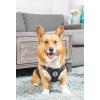 image:imageHuxley amp Kent Scout LoPro Harness  Blue ExtraSmall 48lbs  Easy Control Stepin Mesh Vest Harness for Dogs with Reflective Strips for Safety  HampK Walking Training Harness for DogsBlack