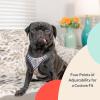 image:imageHuxley amp Kent Scout LoPro Harness  Blue ExtraSmall 48lbs  Easy Control Stepin Mesh Vest Harness for Dogs with Reflective Strips for Safety  HampK Walking Training Harness for DogsHigh Street Plaid