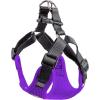image:imageHuxley amp Kent Scout LoPro Harness  Blue ExtraSmall 48lbs  Easy Control Stepin Mesh Vest Harness for Dogs with Reflective Strips for Safety  HampK Walking Training Harness for DogsPurple