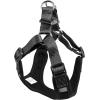 image:imageHuxley amp Kent Scout LoPro Harness  Blue ExtraSmall 48lbs  Easy Control Stepin Mesh Vest Harness for Dogs with Reflective Strips for Safety  HampK Walking Training Harness for DogsLucky Ducky