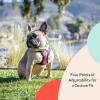 image:imageHuxley amp Kent Scout LoPro Harness  Blue ExtraSmall 48lbs  Easy Control Stepin Mesh Vest Harness for Dogs with Reflective Strips for Safety  HampK Walking Training Harness for DogsBuffalo Check