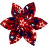 Patriot Stars