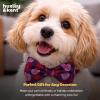 image:imageHuxley amp Kent Bow Tie for Dogs and Cats Happy Barkday SmallConvo Hearts