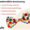image:imageHuxley amp Kent Bow Tie for Dogs and Cats Happy Barkday SmallHappy Barkday