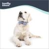 image:imageHuxley amp Kent Bow Tie for Dogs and Cats Happy Barkday SmallHappy Got Me Day