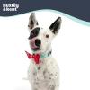 image:imageHuxley amp Kent Bow Tie for Dogs and Cats Happy Barkday SmallKing  Queen of Hearts