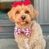 image:imageHuxley amp Kent Bow Tie for Dogs and Cats Happy Barkday SmallKisses