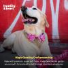 image:imageHuxley amp Kent Bow Tie for Dogs and Cats Happy Barkday SmallLove Pawtion