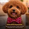 image:imageHuxley amp Kent Bow Tie for Dogs and Cats Happy Barkday SmallMy Puppy Love