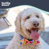 image:imageHuxley amp Kent Bow Tie for Dogs and Cats Happy Barkday SmallParty Time Pink