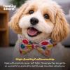 image:imageHuxley amp Kent Bow Tie for Dogs and Cats Happy Barkday SmallParty Time Pink