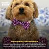 image:imageHuxley amp Kent Bow Tie for Dogs and Cats Happy Barkday SmallPink Leopard