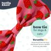 image:imageHuxley amp Kent Bow Tie for Dogs and Cats Happy Barkday SmallStrawberries