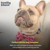 image:imageHuxley amp Kent Bow Tie for Dogs and Cats Happy Barkday SmallStrawberries
