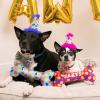 image:imageHuxley amp Kent Dog Bundle  Pink Party Time Birthday Bundle  Large  Party Hat Bow Tie Power Plush Dog Bone