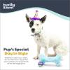 image:imageHuxley amp Kent Funny Dog Toy wSqueaker  Birthday Power Plush Squeaky Dog Toys for Small Medium amp Large Dogs  Soft Stuffed Animal for Indoor Play amp Fetch  Funfetti Cake SmallCelebration Kit