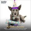 image:imageHuxley amp Kent Funny Dog Toy wSqueaker  Birthday Power Plush Squeaky Dog Toys for Small Medium amp Large Dogs  Soft Stuffed Animal for Indoor Play amp Fetch  Funfetti Cake SmallCelebration Kit