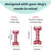 image:imageHuxley amp Kent Funny Dog Toy wSqueaker  Birthday Power Plush Squeaky Dog Toys for Small Medium amp Large Dogs  Soft Stuffed Animal for Indoor Play amp Fetch  Funfetti Cake SmallParty Time Pink Bone