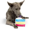 image:imageHuxley amp Kent Funny Dog Toy wSqueaker  Birthday Power Plush Squeaky Dog Toys for Small Medium amp Large Dogs  Soft Stuffed Animal for Indoor Play amp Fetch  Funfetti Cake SmallMake a Wish Cake
