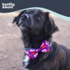 image:imageHuxley amp Kent Pet Bow Tie for Dogs amp Cats  Birthday Adjustable Hook amp Loop Collar Accessory  Cute amp Comfortable for Holidays amp Celebrations  Superstar SmallConvo Hearts