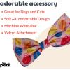 image:imageHuxley amp Kent Pet Bow Tie for Dogs amp Cats  Birthday Adjustable Hook amp Loop Collar Accessory  Cute amp Comfortable for Holidays amp Celebrations  Superstar SmallParty Time Pink
