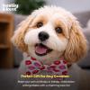 image:imageHuxley amp Kent Pet Bow Tie for Dogs amp Cats  Birthday Adjustable Hook amp Loop Collar Accessory  Cute amp Comfortable for Holidays amp Celebrations  Superstar SmallKiss Kiss