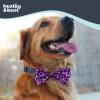 image:imageHuxley amp Kent Pet Bow Tie for Dogs amp Cats  Birthday Adjustable Hook amp Loop Collar Accessory  Cute amp Comfortable for Holidays amp Celebrations  Superstar SmallPink Leopard