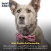 image:imageHuxley amp Kent Pet Bow Tie for Dogs amp Cats  Birthday Adjustable Hook amp Loop Collar Accessory  Cute amp Comfortable for Holidays amp Celebrations  Superstar SmallKiss Kiss