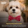 image:imageHuxley amp Kent Pet Bow Tie for Dogs amp Cats  Birthday Adjustable Hook amp Loop Collar Accessory  Cute amp Comfortable for Holidays amp Celebrations  Superstar SmallMy Puppy Love