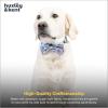 image:imageHuxley amp Kent Pet Bow Tie for Dogs amp Cats  Birthday Adjustable Hook amp Loop Collar Accessory  Cute amp Comfortable for Holidays amp Celebrations  Superstar SmallHappy Got Me Day
