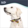 image:imageHuxley amp Kent Pet Bow Tie for Dogs amp Cats  PrideTheme Adjustable Hook amp Loop Collar Accessory  Cute amp Comfortable for Holidays amp Celebrations  Pride Equality ExtraLargeAll Together