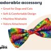 image:imageHuxley amp Kent Pet Bow Tie for Dogs amp Cats  PrideTheme Adjustable Hook amp Loop Collar Accessory  Cute amp Comfortable for Holidays amp Celebrations  Pride Equality ExtraLargeWoodstock