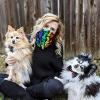 image:imageHuxley amp Kent Pet Bow Tie for Dogs amp Cats  PrideTheme Adjustable Hook amp Loop Collar Accessory  Cute amp Comfortable for Holidays amp Celebrations  Pride Equality ExtraLargeUnity