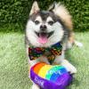 image:imageHuxley amp Kent Pet Bow Tie for Dogs amp Cats  PrideTheme Adjustable Hook amp Loop Collar Accessory  Cute amp Comfortable for Holidays amp Celebrations  Pride Equality ExtraLargeUnity